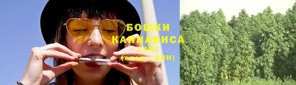 spice Аркадак