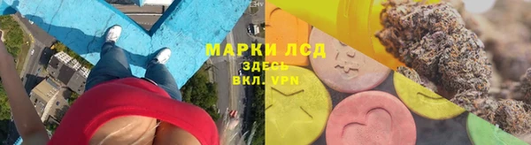 spice Аркадак