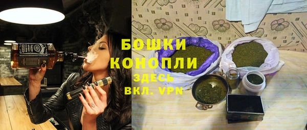 spice Аркадак