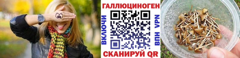 Псилоцибиновые грибы Psilocybine cubensis  сайты даркнета клад  Светогорск  MEGA вход 